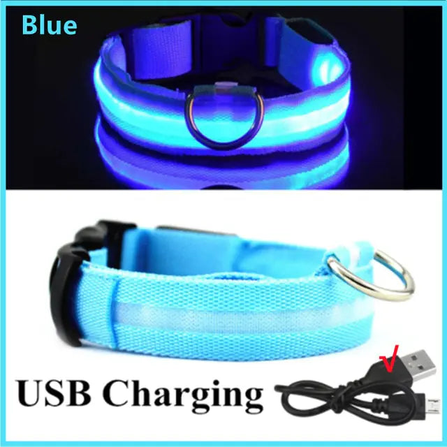 LED Glowing Adjustable Dog Collar Blue USB Charging S Neck 34-41 CM
