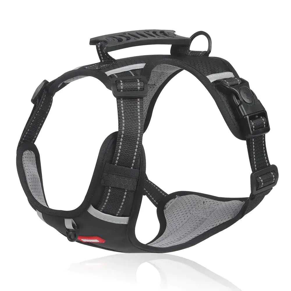 Reflectride for pets black S