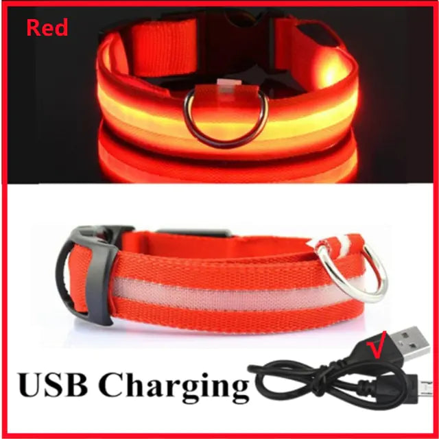 LED Glowing Adjustable Dog Collar Red USB Charging XS Neck 28-38 CM