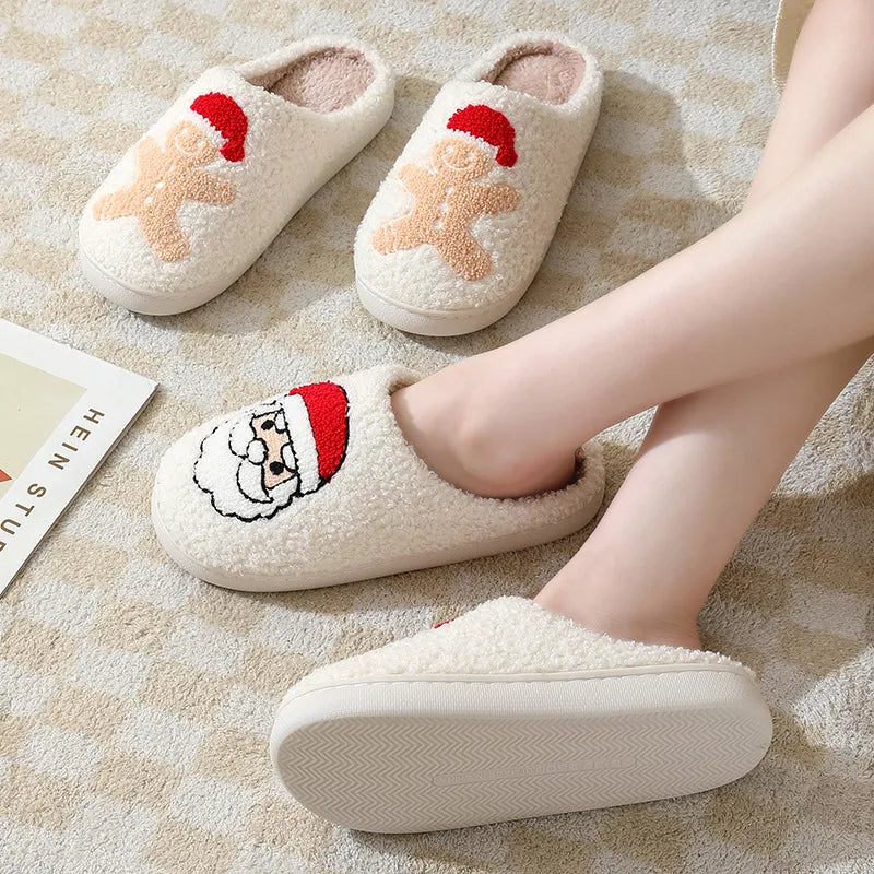 Winter Warmth Slippers