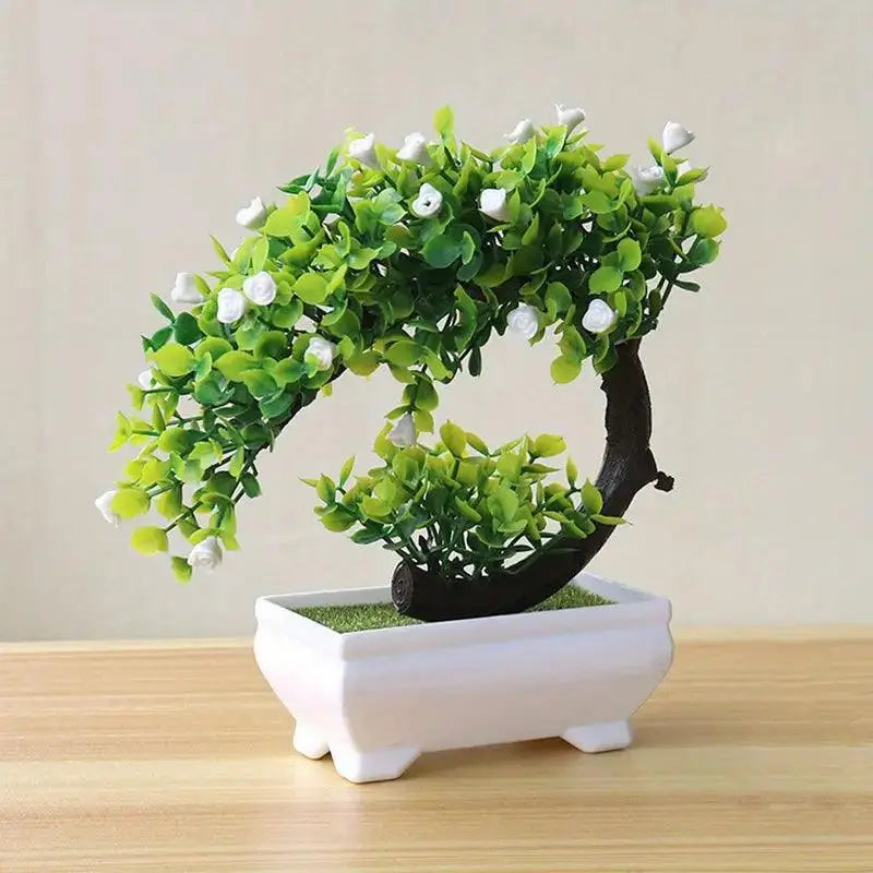 Small Bonsai Tree White Cresent Rose