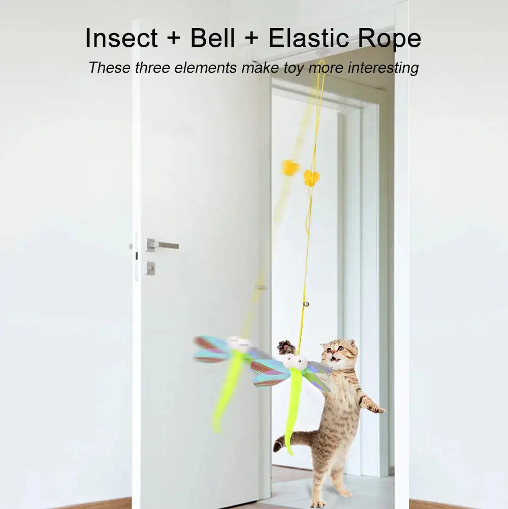 Swinging Toys for Cats