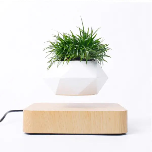 Levitating Air Bonsai Pot Light Wood base EU Plug