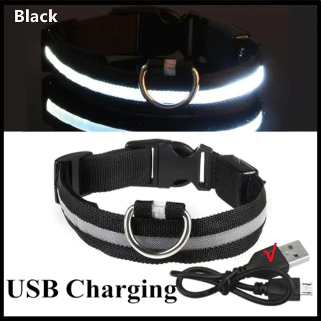 LED Glowing Adjustable Dog Collar Black USB Charging XS Neck 28-38 CM