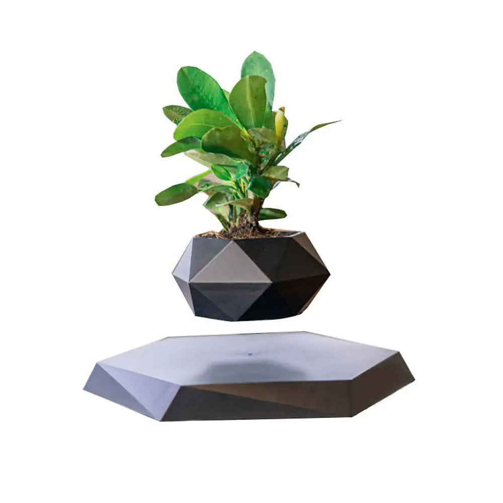 Levitating Air Bonsai Pot Black Color UK Plug
