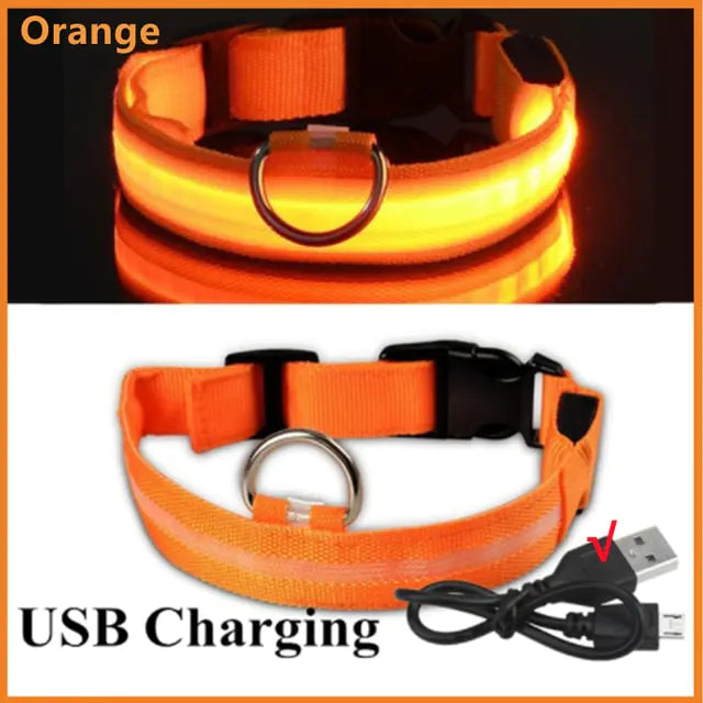 LED Glowing Adjustable Dog Collar Orange USB Charging XS Neck 28-38 CM