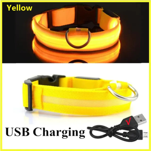 LED Glowing Adjustable Dog Collar Yellow USB Charging M Neck 37-46 CM