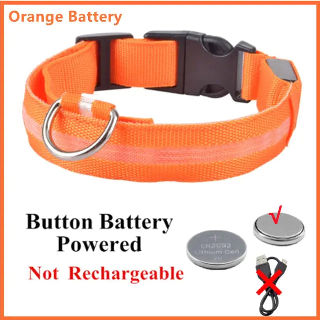 LED Glowing Adjustable Dog Collar Orange ButtonBattery XXL Neck 43-62 CM