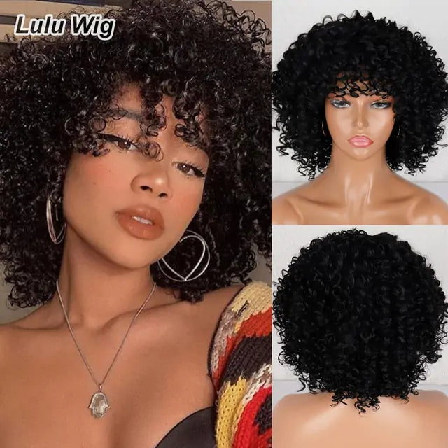 Afro Kinky Curly Wig 642-1b 12inches