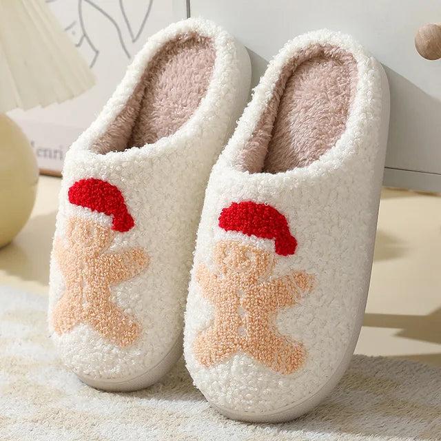 Winter Warmth Slippers m 44-45 19