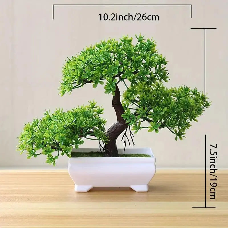 Small Bonsai Tree Green Pine