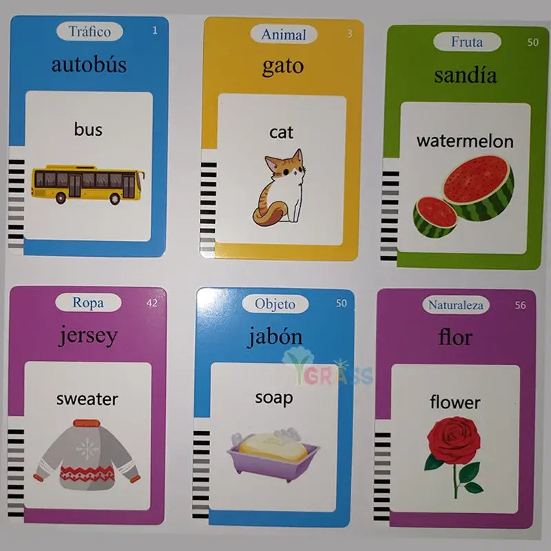 Educational Learning Talking Flash Cards
