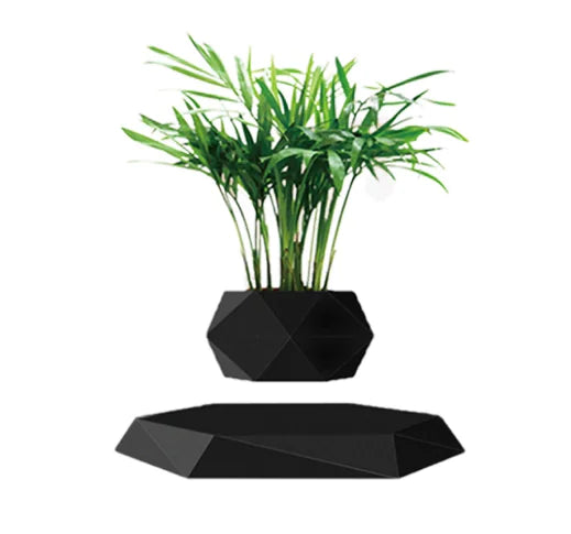 Levitating Air Bonsai Pot New Black Color