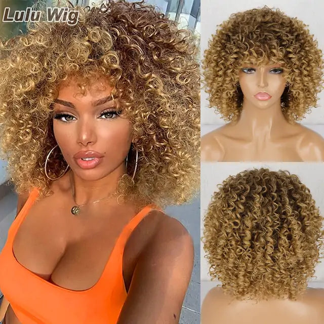 Afro Kinky Curly Wig 642jin 12inches