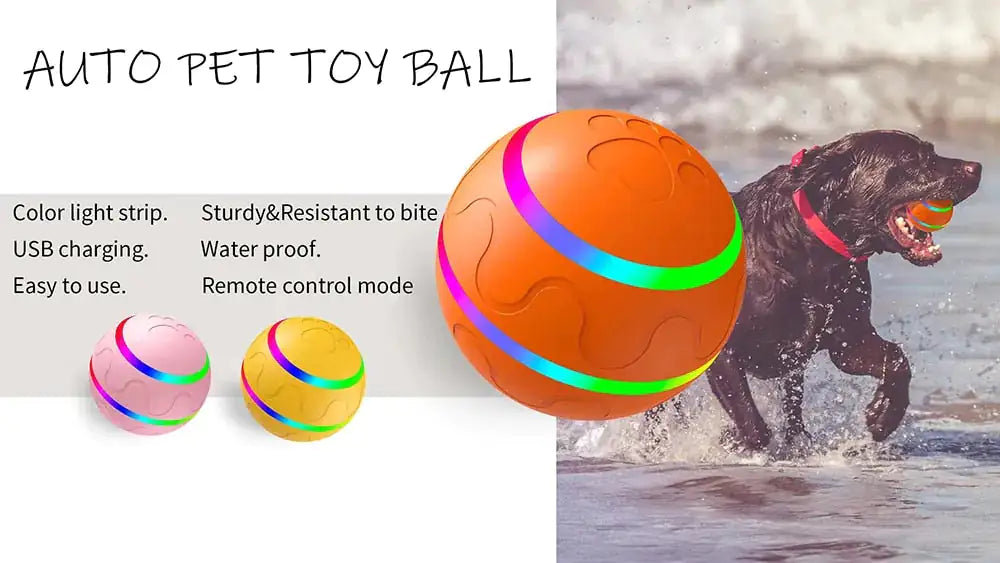 Interactive Pet Smart Ball Toy