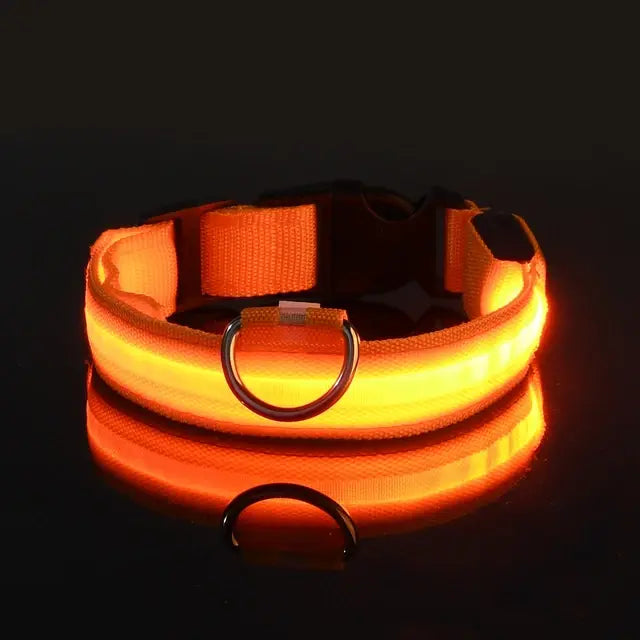 Flashing Glow Dog Collar Orange XL
