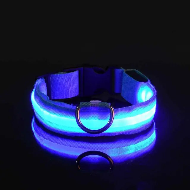 Flashing Glow Dog Collar Blue L