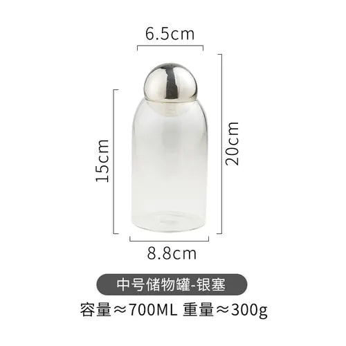 Transparent Glass Sealed Jar Silver Stopper M